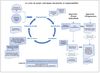 Cycle du projet - EuropeAid - © EuropeAid